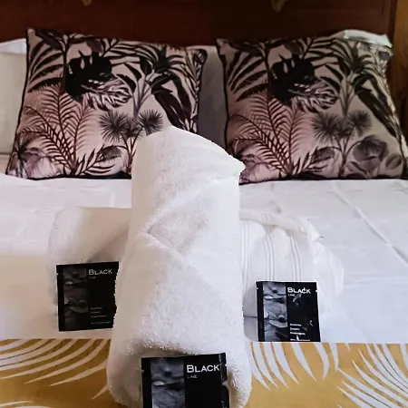Le Limouxin Jungle Wifi, Petit Balcon *oc Keys Apartment Limoux